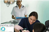 Dental Life