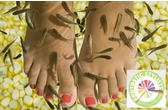 Fantastic Stylists Spa & Salon (Unisex)
