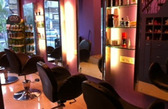 Protein the Salon