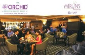 Orchids Merlin Bar