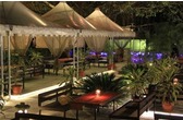Banyan Tree