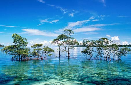 Andaman Adventure (Deluxe Package)