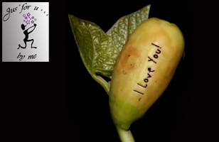 Rs. 499 to get the best valentine gift worth Rs. 800 at Just for U