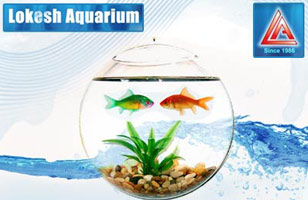 Lokesh Aquarium 