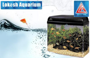 Lokesh Aquarium 