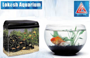 Lokesh Aquarium 