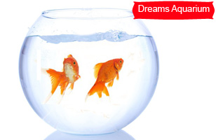 Rs. 175 to get an aquarium worth Rs. 300 at Dreams Aquarium