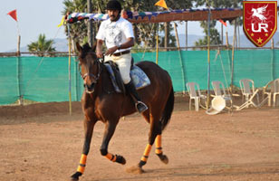 Rs. 275 for a horse ride worth Rs. 600 at United Royal Riders