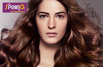 Rs 349 for Facial, Layers Haircut, Bleach, Manicure and Foot Massage + Pack, all worth Rs 2500