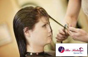 The Fidalgo Unisex Salon