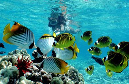 Exotic Andaman (Ex Mumbai & Pune)