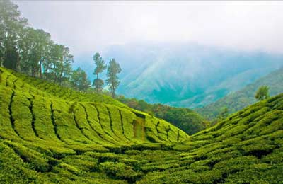 Explore Kerala