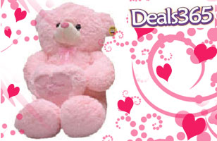 Rs. 355 for soft teddy bear worth Rs. 700 delivered at your doorstep by Deals 365