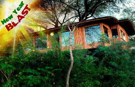 The Tree House Resort