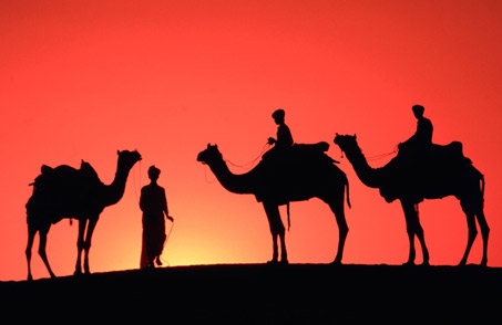 Jaisalmer, Sand Dunes & more