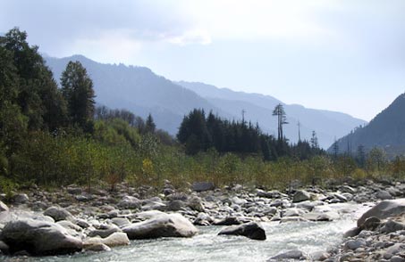 Harmony Hotel, Manali (Super Deluxe Room)