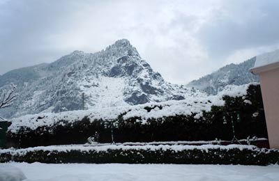 Sterling White Mist Resort, Manali
