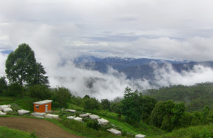 Frozen Woods, Mukteshwar (Deluxe Room)