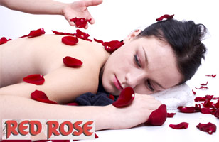 Red Rose