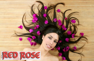Red Rose