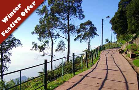 Irresistible Kerala (Festive Offer)