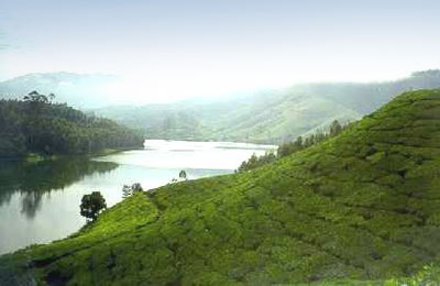 Kerala- India's Tropical Paradise