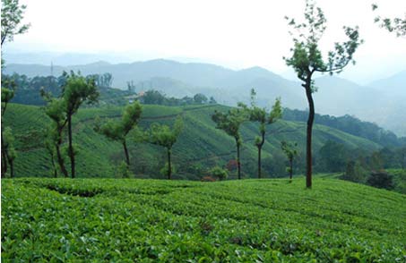 Mesmerising Kerala