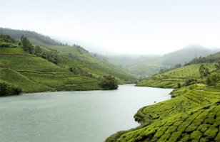 Enchanting Munnar - Hotel C7