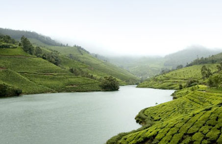 Enchanting Munnar (Honeymoon Offer)