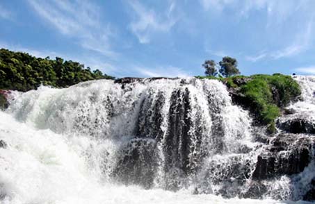 Fern Hill, Ooty