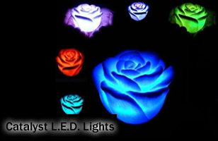 Get a set of 3 rose - shaped coloured LED lights<br><br>2 color changing & 1 standard light