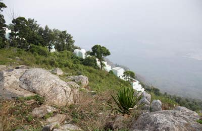 Sterling Rock Perch, Yercaud