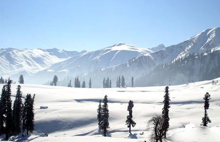 Hotel Paradise, Srinagar
