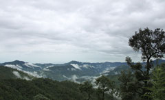 Chail Villas (Family Package)