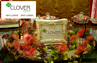 Clover