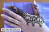 Amrutha Institute of Computer Education & Fashion Technology