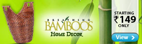 Breathing Bamboos - Home Decor Close to Nature - Starting Rs.149
