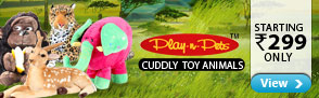 Cute soft Toys from Play-n-Pets starting at Rs.299 only