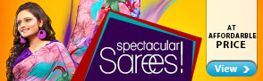 Spectacular Sarees at affordable prices