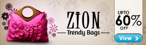 60% off Zion Trendy Bags