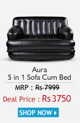  Sofa cum Bed