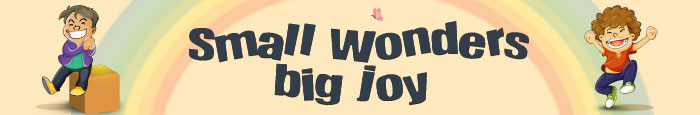 Small Wonders big Joy