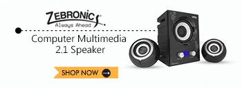 Zebronics 2.1 Multimedia speaker