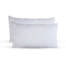 Set of 2 Comfortable Pillows