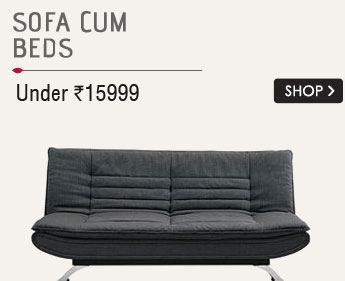 Sofa Cum Beds Under 15999