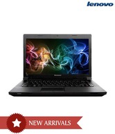 Lenovo IdeaPad B490-59-356128 (2nd Gen Dual Core-B960/ 2GB/ 500GB/ DOS) (Black)