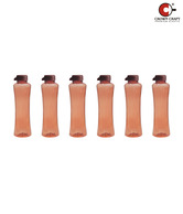 Crown Craft Moody Light Brown Pet Bottle Set