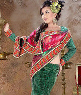 FNF Classic Multi Colored Embroidered Saree
