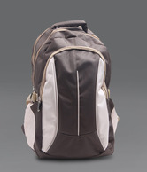 President Sleek Brown Beige Backpack
