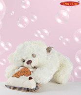 Play-n-Pets Floppy Bear Soft Toy